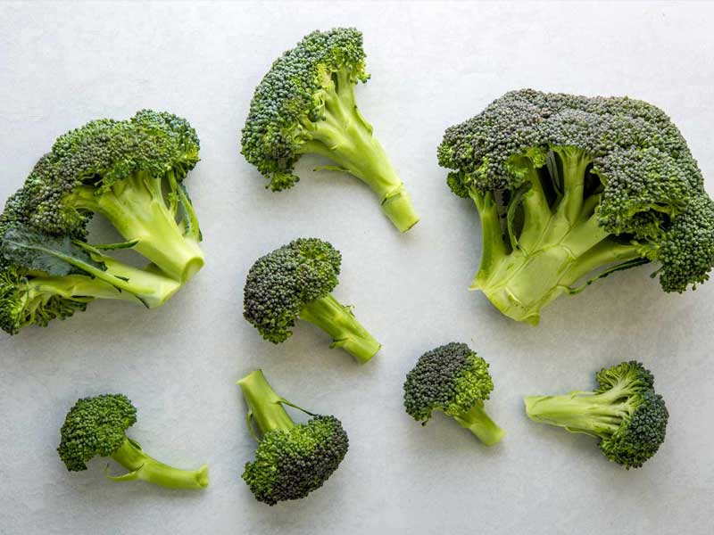 ,broccoli vs cauliflower,broccoli vs cauliflower nutrition
,broccoli vs cauliflower calories
,broccoli vs cauliflower plant
,broccoli vs cauliflower taste
,broccoli vs cauliflower fiber
,broccoli vs cauliflower carbs
,broccoli vs cauliflower protein
,broccoli vs cauliflower keto
,,broccoli vs cauliflower reddit
,broccoli vs cauliflower benefits