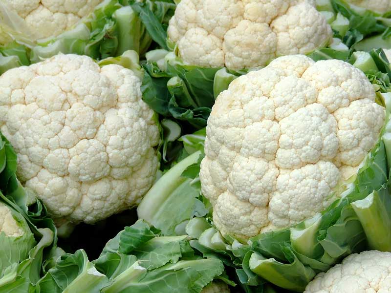 ,broccoli vs cauliflower,broccoli vs cauliflower nutrition
,broccoli vs cauliflower calories
,broccoli vs cauliflower plant
,broccoli vs cauliflower taste
,broccoli vs cauliflower fiber
,broccoli vs cauliflower carbs
,broccoli vs cauliflower protein
,broccoli vs cauliflower keto
,,broccoli vs cauliflower reddit
,broccoli vs cauliflower benefits