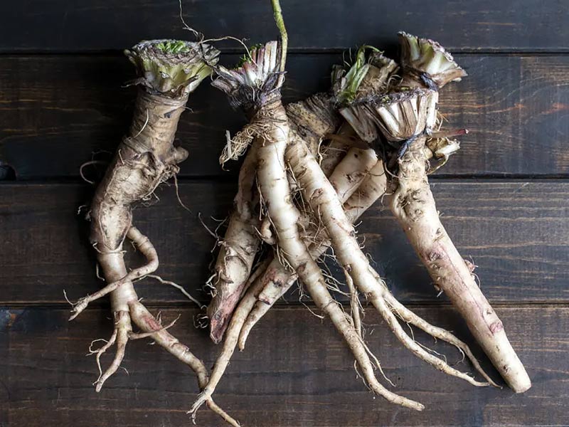 ,,hormonal herbs,hormonal herbs females
,hormonal herbs for tea
,herbs for hormonal imbalance
,herbs for hormonal acne
,ayurvedic herbs for hormonal imbalance in females
,nigerian herbs for hormonal imbalance
,best herbs for hormonal acne
,chinese herbs for hormonal acne
,natural herbs for hormonal imbalance in females
,herbs for hormonal migraines
,hormonal acne herbs