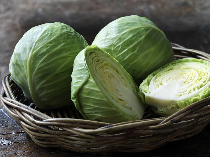 ,cabbage ,cabbage soup recipe ,cabbage patch kids ,red cabbage recipes ,corned beef and cabbage ,cabbage patch doll ,cabbage soup diet ,fried cabbage ,stuffed cabbage recipe