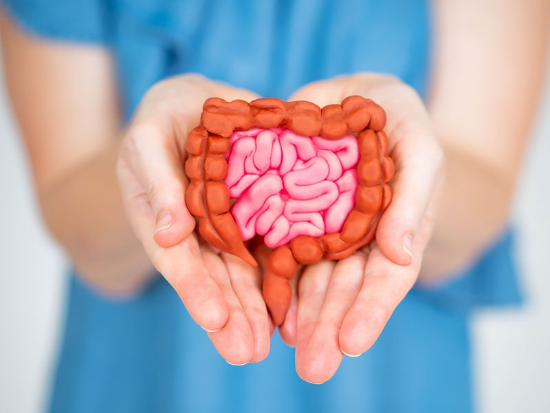 ,dates benefits,dates benefits for women
,dates benefits for men
,dates benefits sexually
,dates benefits for pregnancy
,dates benefits for skin
,dates benefits and side effects
d,,ates benefits for hair
,dates benefits during pregnancy


