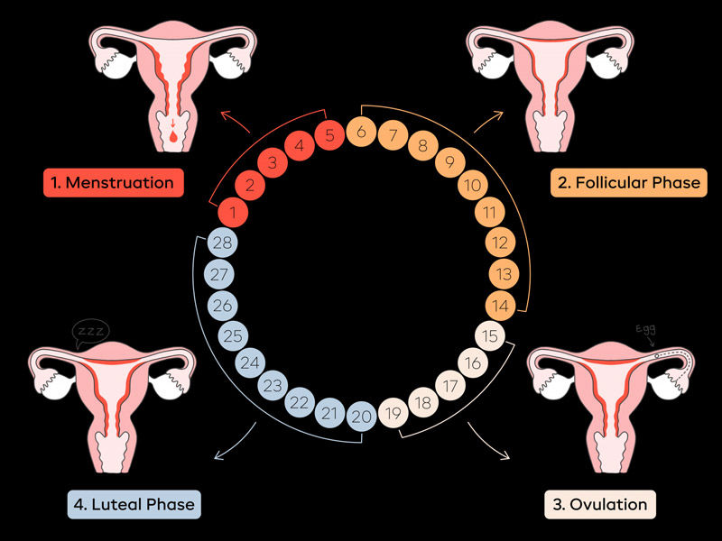 ,halim seeds
,halim seeds benefits
,halim seeds in english
,how to consume halim seeds
,how to eat halim seeds
,halim seeds in hindi
,halim seeds for hair
,halim seeds in telugu
,halim seeds near me
,halim seeds in tamil
,halim seeds in urdu
