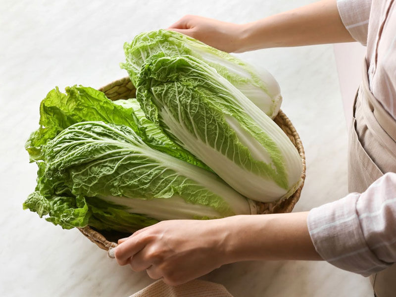 ,cabbage ,cabbage soup recipe ,cabbage patch kids ,red cabbage recipes ,corned beef and cabbage ,cabbage patch doll ,cabbage soup diet ,fried cabbage ,stuffed cabbage recipe