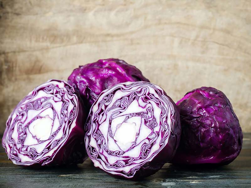 ,cabbage ,cabbage soup recipe ,cabbage patch kids ,red cabbage recipes ,corned beef and cabbage ,cabbage patch doll ,cabbage soup diet ,fried cabbage ,stuffed cabbage recipe