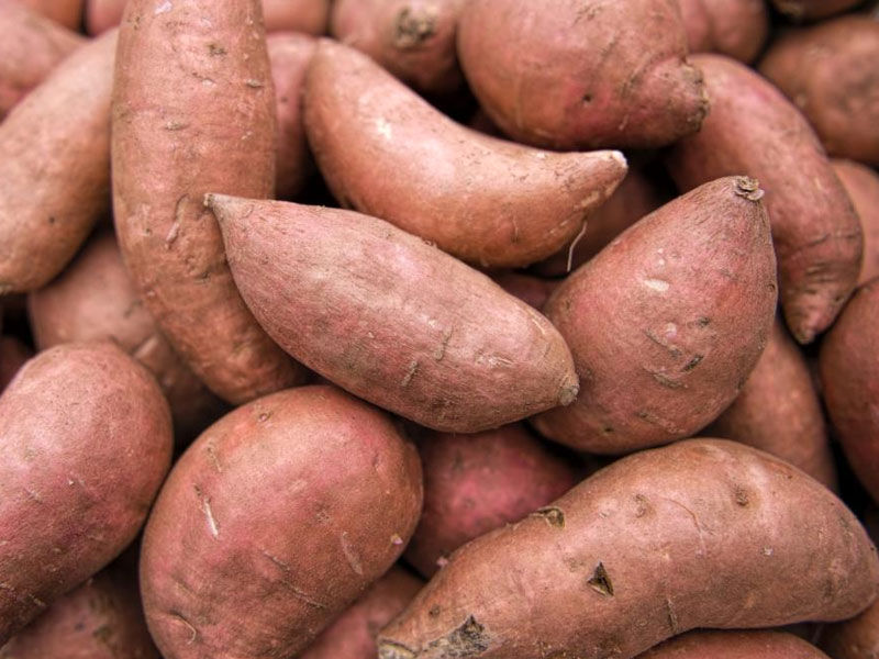 ,healthy veggies,healthy veggies for dogs
,h,ealthy veggies for weight loss
h,eart healthy veggies
,healthy veggies to snack on
,healthy veggies for thanksgiving
,healthy veggies for pregnancy
,healthy veggies for dinner
,healthy veggies recipes
,healthy veggies for diabetics
,healthy veggies to eat
,healthy veggies and fruits for dogs