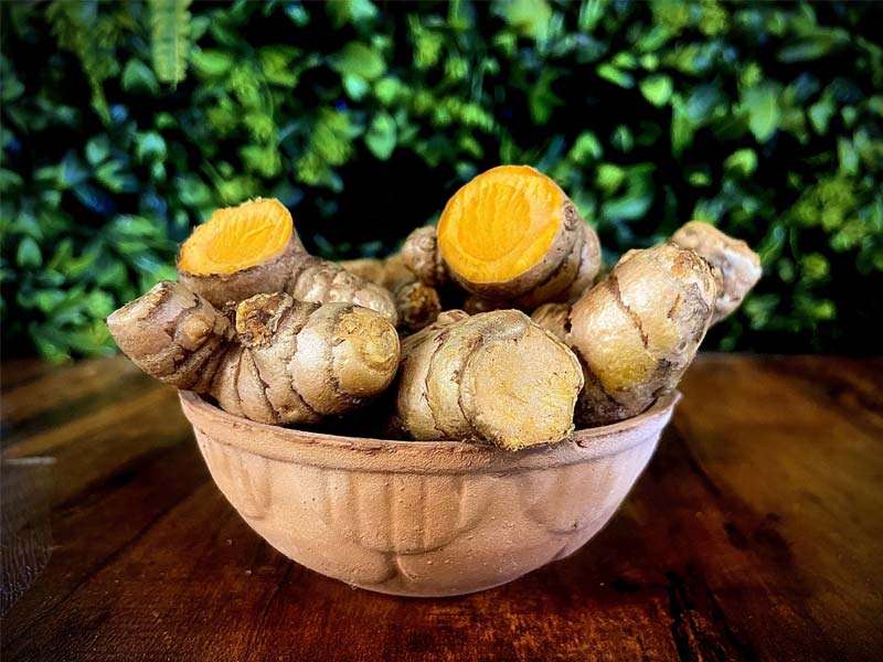 Which Is Better for You Turmeric Powder or Raw Turmeric?