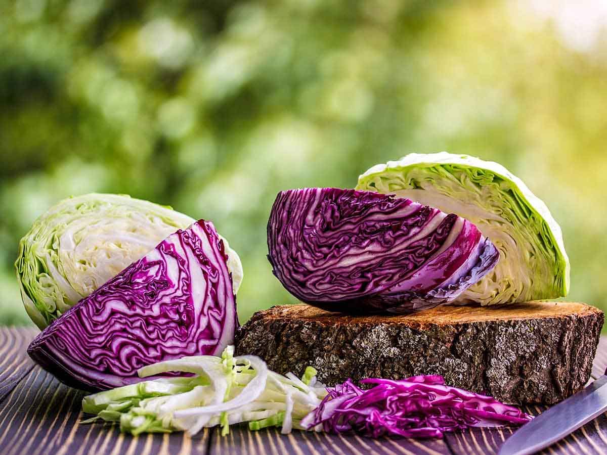 ,,cabbage benefits
,red cabbage benefits
,raw cabbage benefits
,napa cabbage benefits
,chinese cabbage benefits
,fermented cabbage benefits
,cabbage benefits for skin
,red cabbage benefits and side effects
,pickled red cabbage benefits
,cabbage benefits and side effects