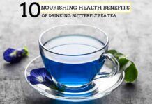,butterfly pea tea ,butterfly pea tea benefits ,,butterfly pea tea flavor ,butterfly pea tea recipe ,blue butterfly pea tea ,butterfly pea tea near me ,butterfly pea tea taste ,is butterfly pea tea good for you ,butterfly pea tea caffeine ,butterfly pea tea color change ,butterfly pea tea lemonade