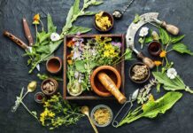 Herbs That Naturally Boost Collagen ,collagen herbs ayurveda ,,collagen herbs of gold ,mango herbs collagen ,ayurvedic herbs for collagen ,herbs of gold collagen review ,herbs of gold collagen forte ,chinese herbs for collagen ,herbs of the earth collagen review ,d'herbs lipstick collagen ,natural collagen herbs ,what herbs have collagen ,herbs for collagen production ,herbs and health collagen