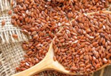healthy seeds ,,plant with healthy seeds ,healthy seeds for smoothies ,healthy seeds for diabetics ,when healthy seeds are dipped in water seeds ,healthy seeds name ,healthy seeds for parrots ,healthy seeds for granola ,healthy seeds to put in yogurt ,healthy seeds for weight loss ,healthy seeds for dogs ,healthy seeds and grains
