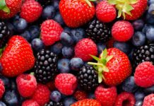 ,indian berries ,types of indian berries ,red indian berries ,south indian berries ,indian berries images ,can you eat indian berries ,indian berries list ,indian berries benefits ,indian berries name