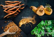 ,mood boosting herbs ,best mood boosting herbs ,what are mood boosting supplements mood boosting ingredients, herbs to help boost mood, herbs for mood boosting, natural supplements to boost mood ,mood boosting herbal tea mood booster herbs, mood boost supplement side effects ,mood boost supplement for kids