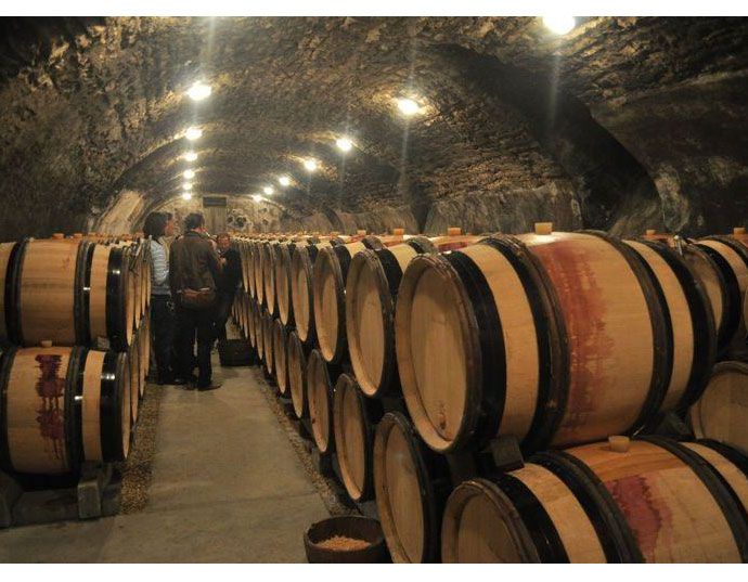 專業酒窖陳年環境