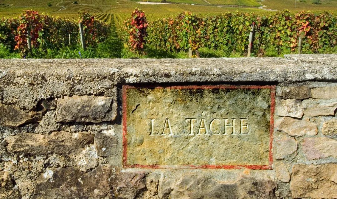 La Tâche 拉塔希特級獨佔園紅酒瓶身與酒窖保存