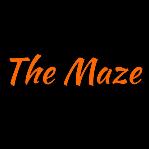 The Maze Consignment Shop Womens Consignment logo