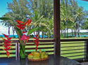 Hanalei Moon Beach Cottage - Hanalei Bay is just across the grass. See the water from your couch.