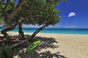 COCO BEACH CLUB 6...walk out onto the sand of  Simpson Bay Beach			 - Coco Beach Club #6, 2BR beachfront condo rental, Simpson Bay, St Maarten