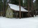 Cabin in the Pines