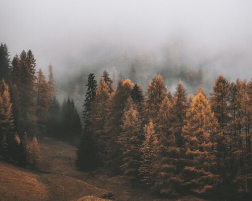 autumn season