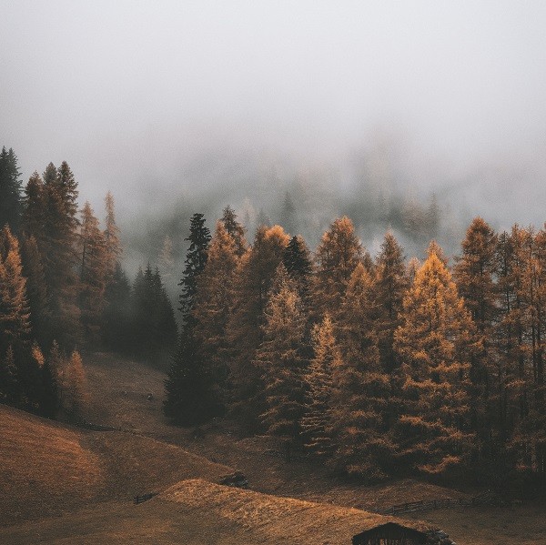 autumn season