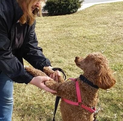 playing with her dog
