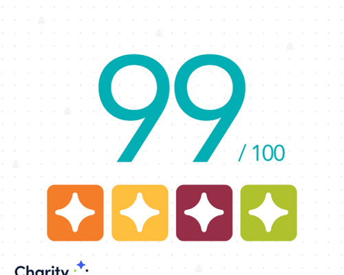 A graphic reads 99/100 in bold teal font with four star icons in orange, yellow, maroon, and light green. The bottom-left logo reads Charity Navigator. Bottom-right text reads FOUR-STAR in navy. The background is a faint dot matrix pattern with some Help Hope Live gray logo pledge figures sprinkled in.