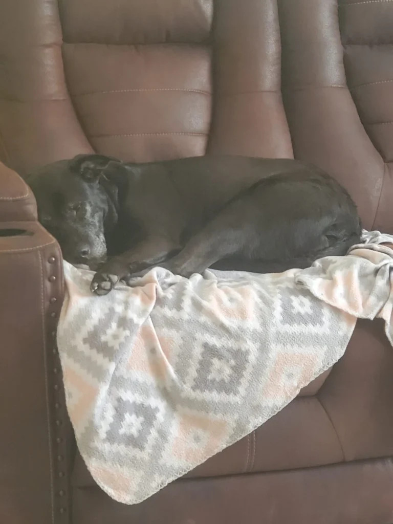 sleeping in the sofa