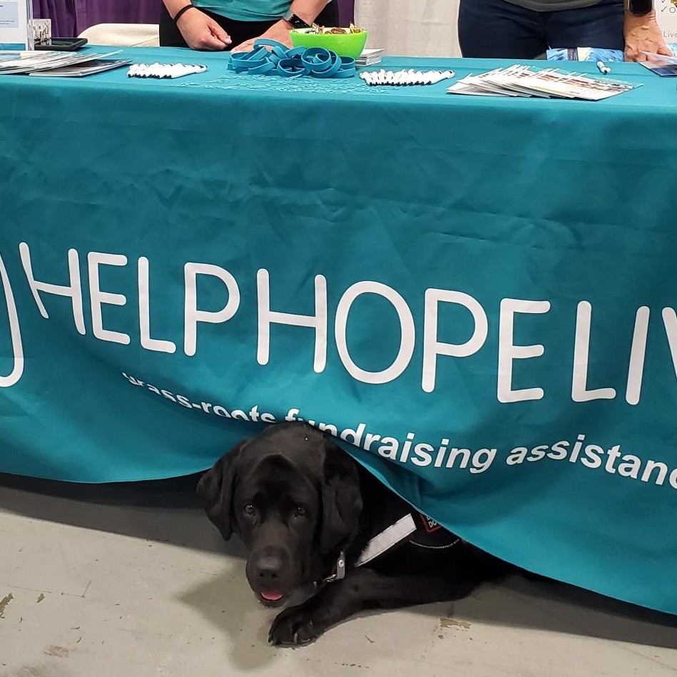 Service dog underneath tablecloth at Abilities Expo New York Metro 2022