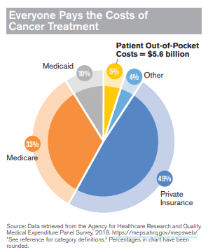 cancer financial assistance can be a burden even with the help of insurance. This pie chart graph breaks down the costs of cancer with insurance.