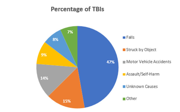 Percentage of TBIs causes