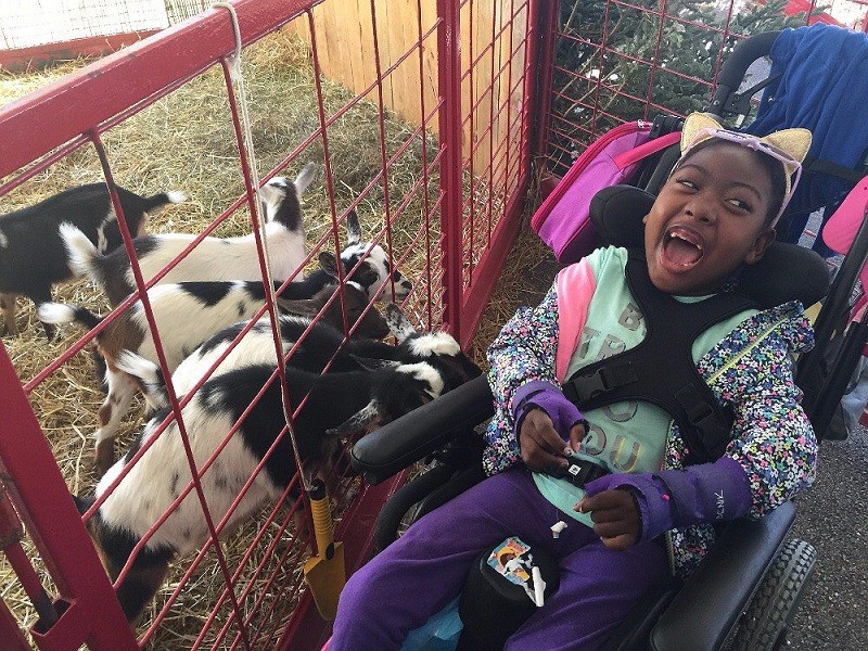 Zoë is very excited as she encounters six young goats in an enclosure. The goats sniff at Zoë's black mobility device, to which she is strapped at the chest. Zoë wears purple wrist braces, matching purple pants, and gold cat ears. She has brown skin, brown eyes, and textured black hair pulled back.