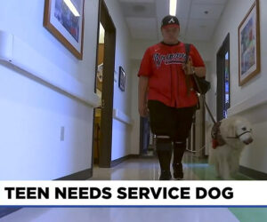 15-year-old Stryder Doescher wears a red Atlanta Braves jersey and a matching ball cap as he walks down a hospital corridor with his white retriever service dog, Keebler. A ticker from FOX 12 Oregon reads Teen Needs Service Dog.