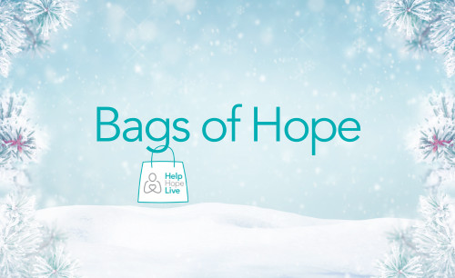 Bags of Hope featured holiday image