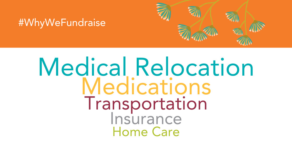 A graphic reads #WhyWeFundraise with a series of words that go from largest to smallest in different colors. In order, they are: Medical Relocation, Medications, Transportation, Insurance, Home Care.