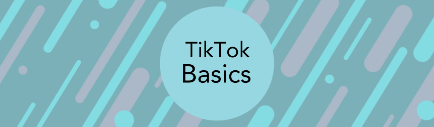 A banner reads TikTok Basics.