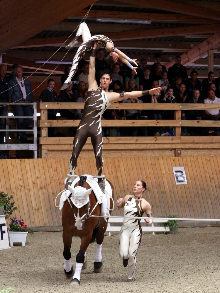 equestrian vaulting gymnastics horse therapy