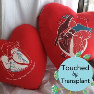 Two heart-shaped pillows with anatomical hearts on them. Part of the Touched by Transplant series 2025 for John Hope and Karen Hope.