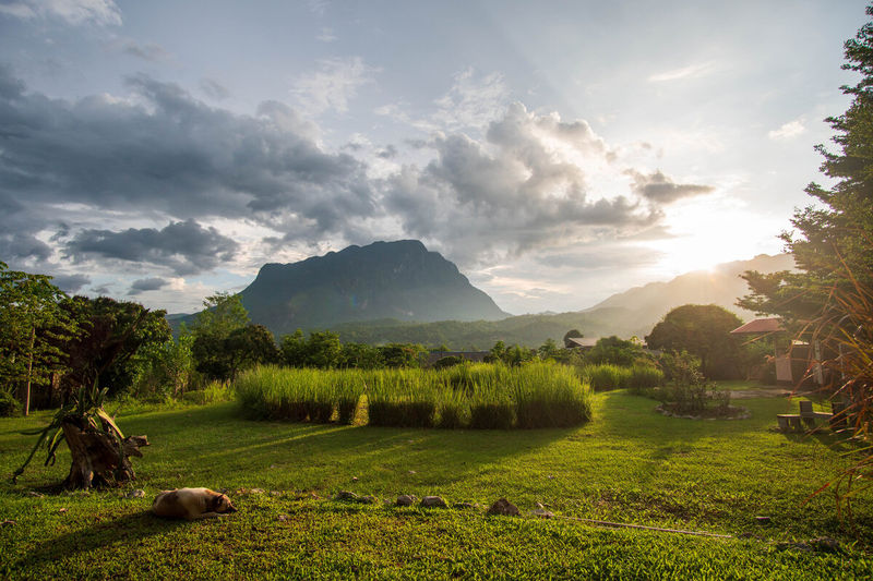 Photograph by Julien Vernet