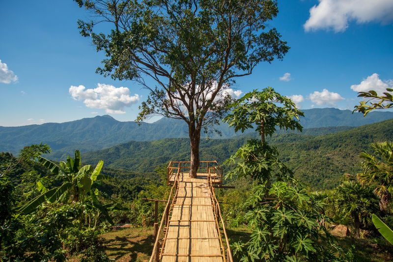 Photograph by Julien Vernet