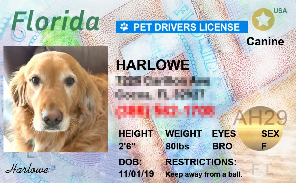 Example of Pet Licenses for State Florida