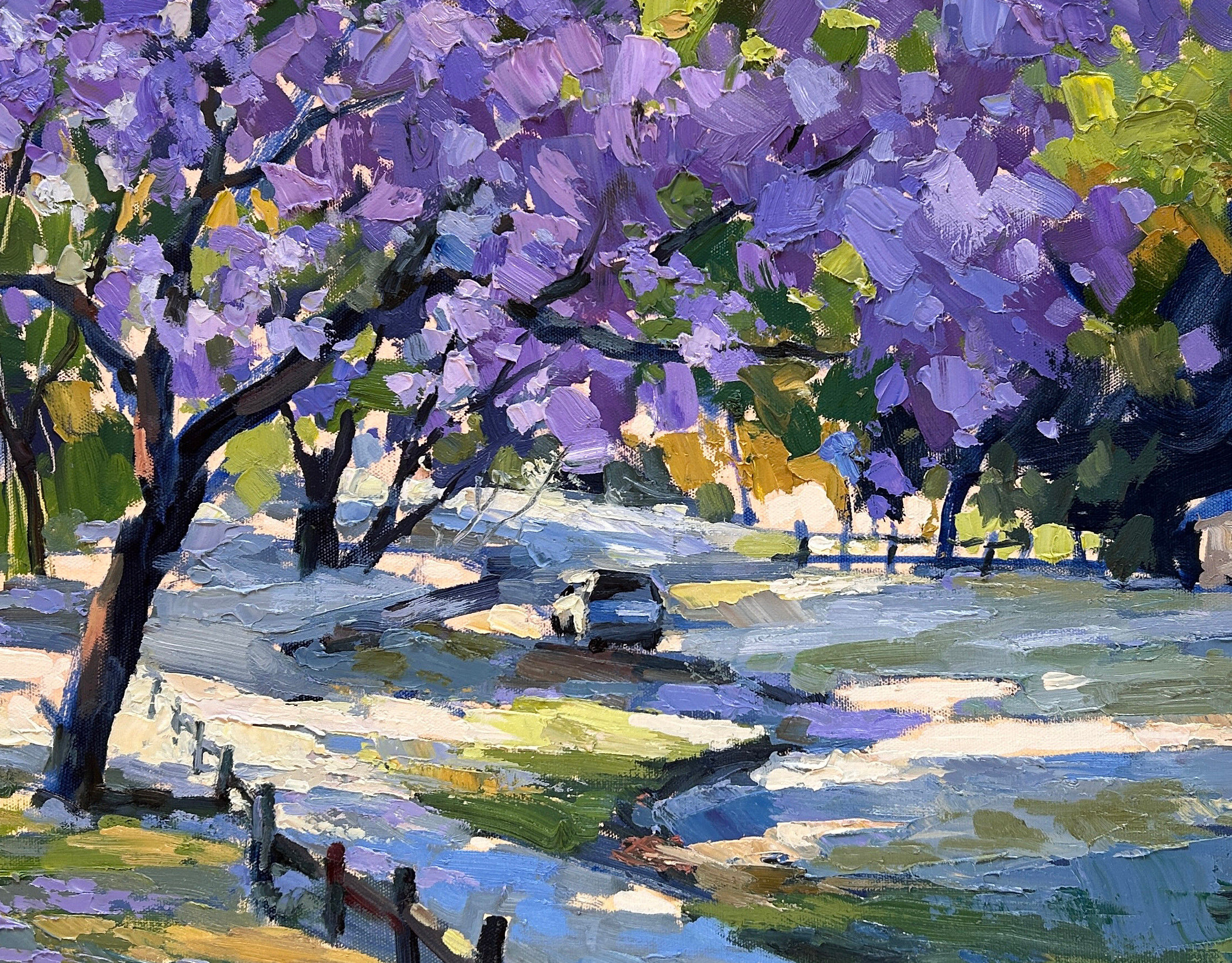 Jacaranda Memory
