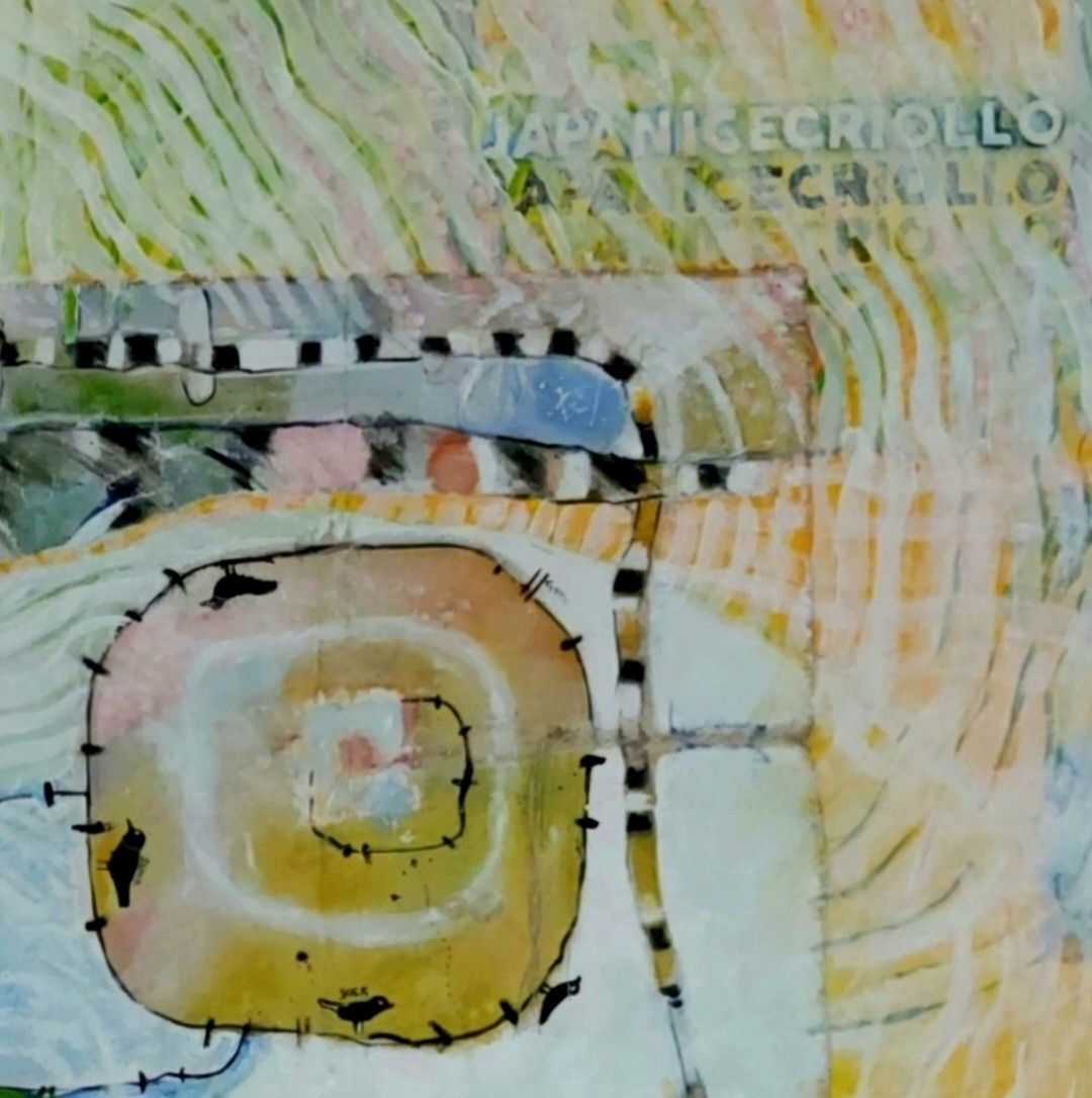 Aerial View of a Duck Pond