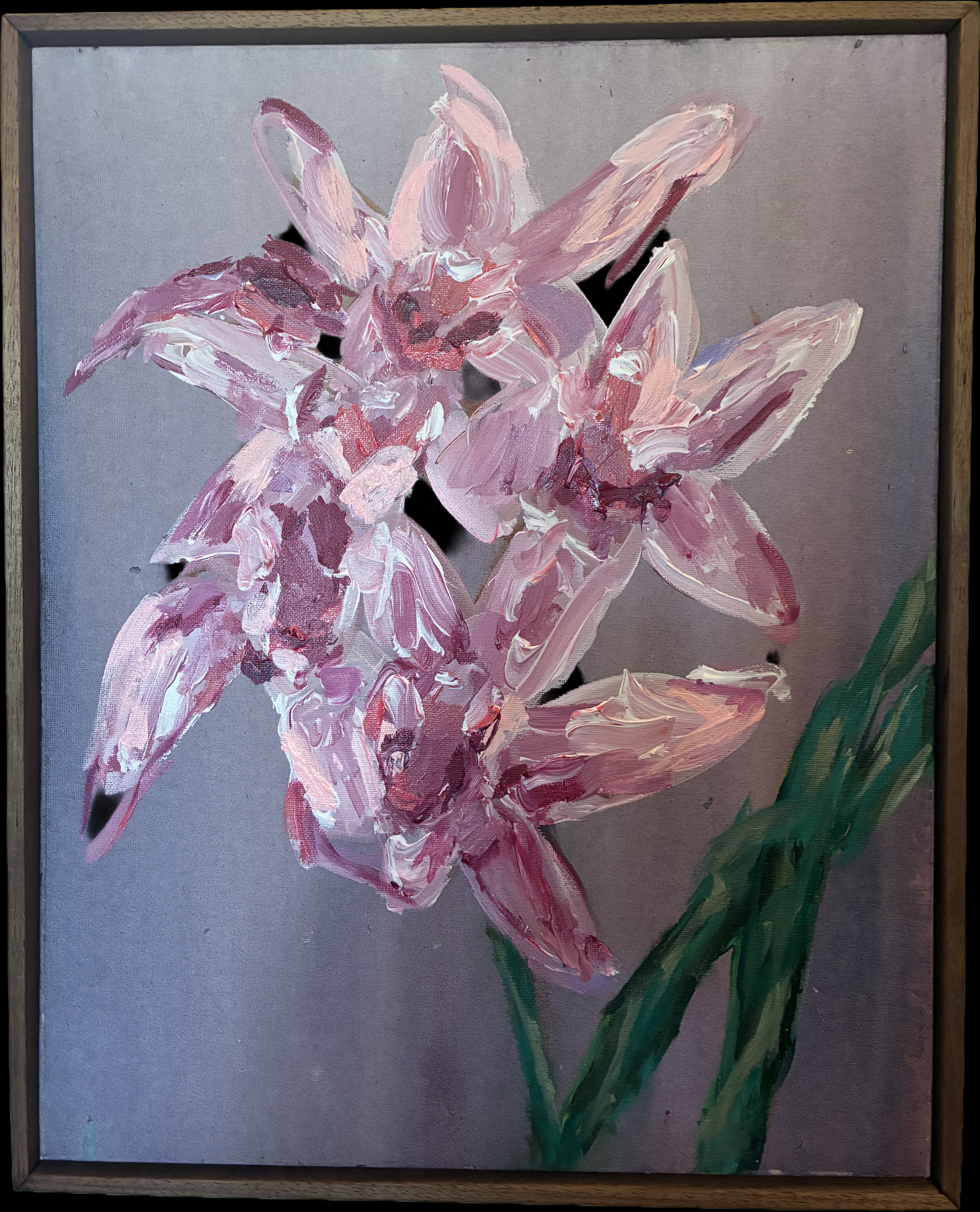 Cymbidium (framed in oak) by Miriam Wells