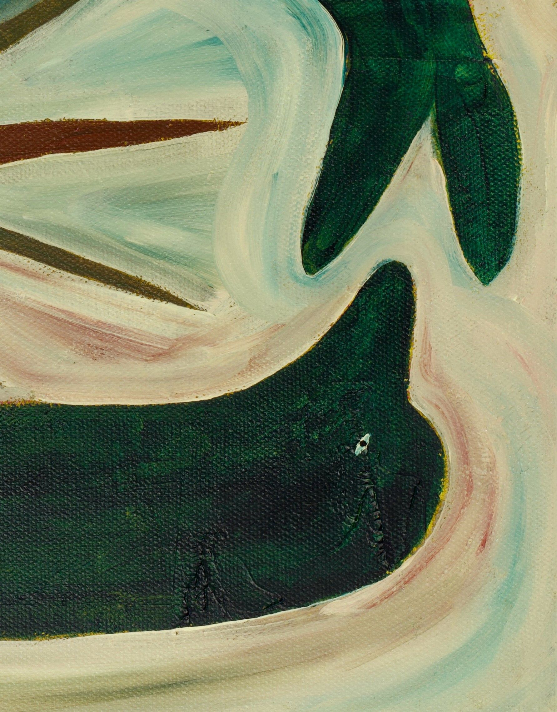 Dolphin Sun