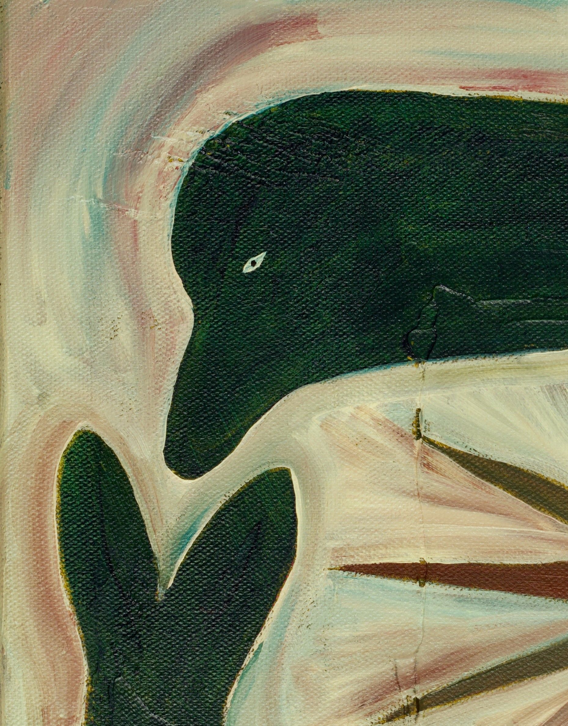 Dolphin Sun