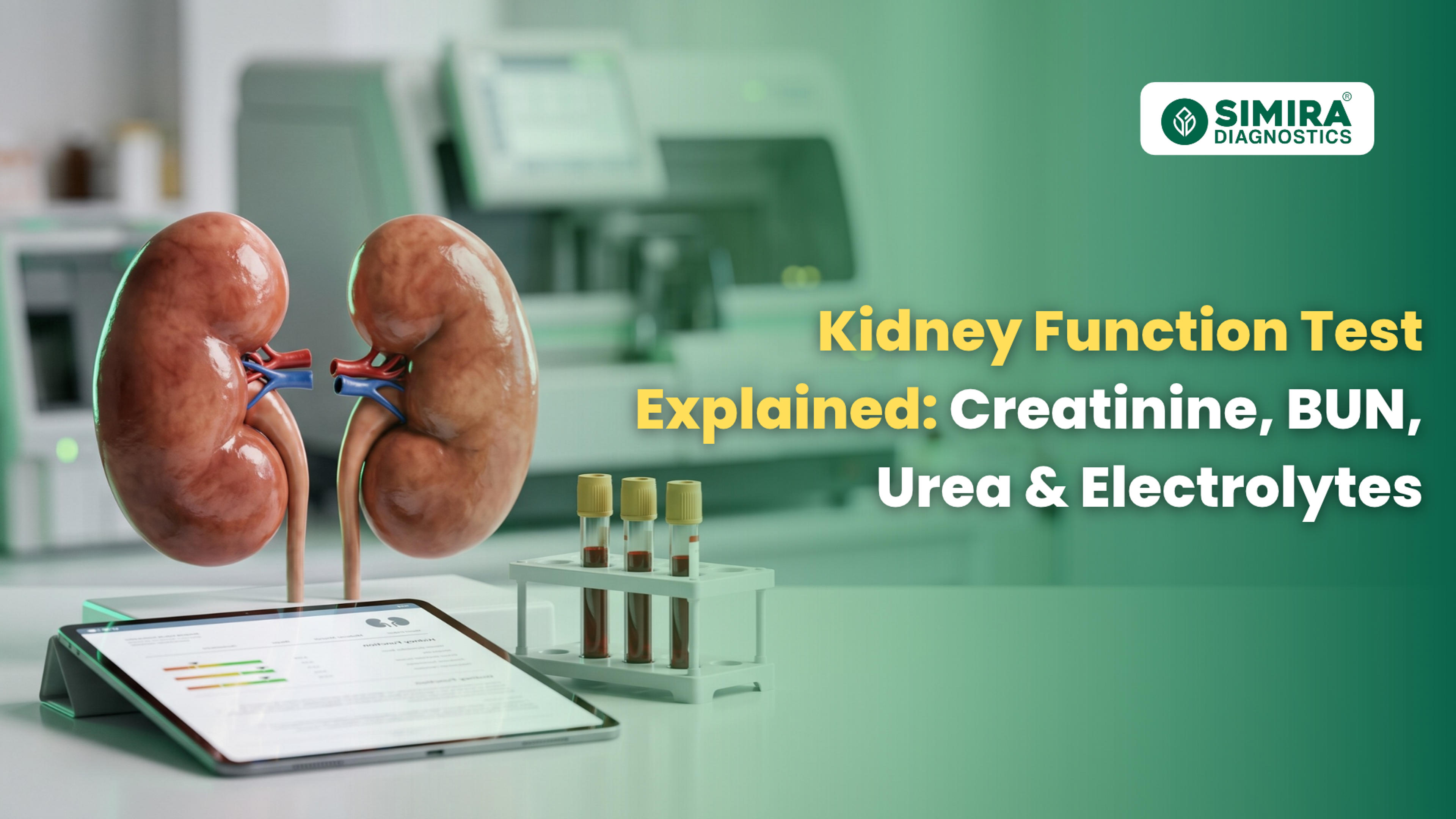Kidney Function Test Explained: Creatinine, BUN, Urea & Electrolytes
