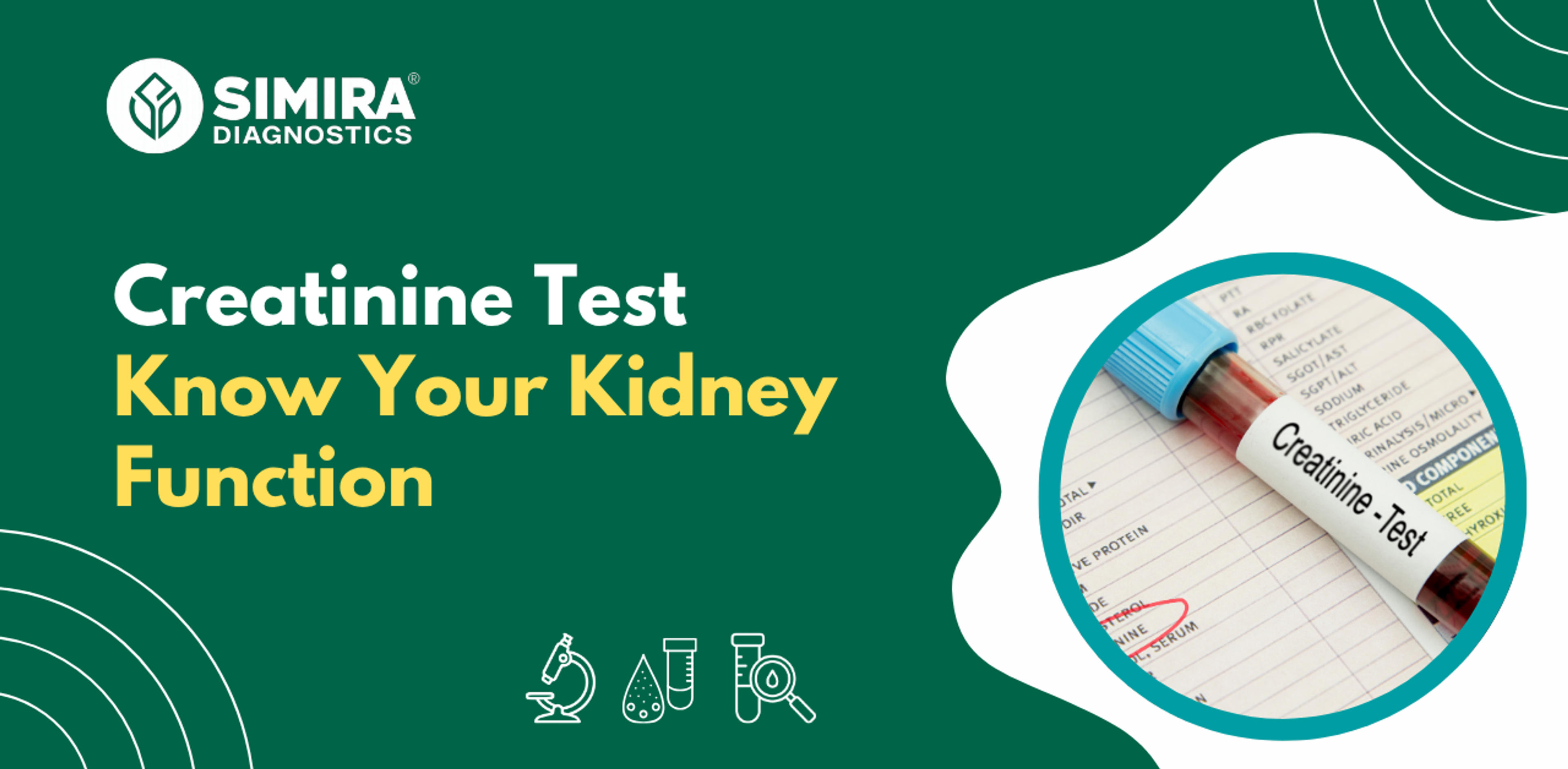 Creatinine test explaining normal creatinine levels, kidney function, high creatinine, and test results