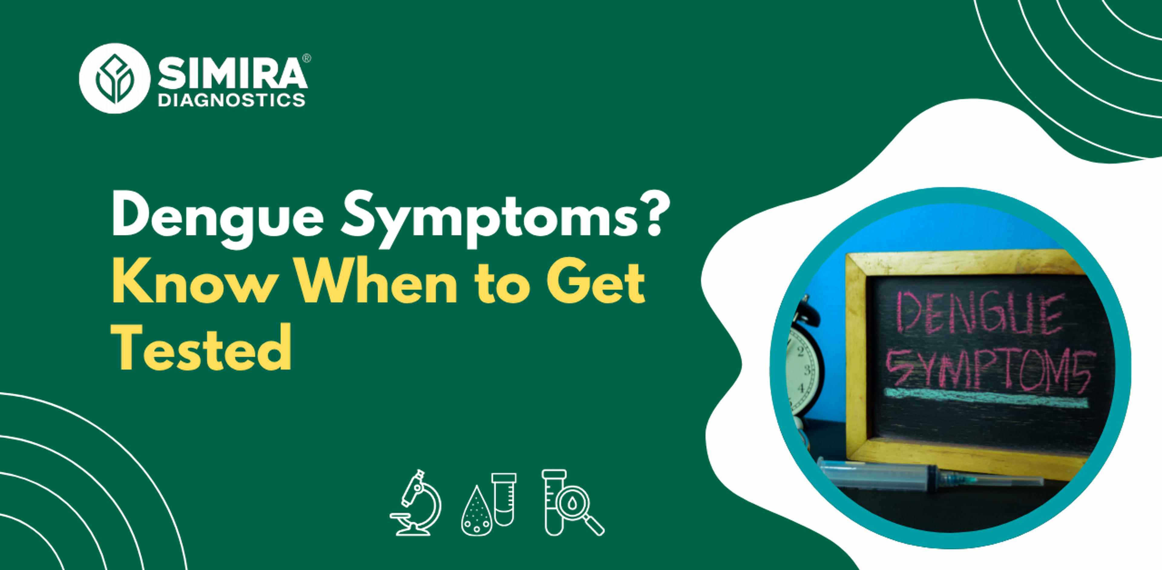 Dengue symptoms and testing guide showing warning signs of dengue fever and when to get tested for early diagnosis