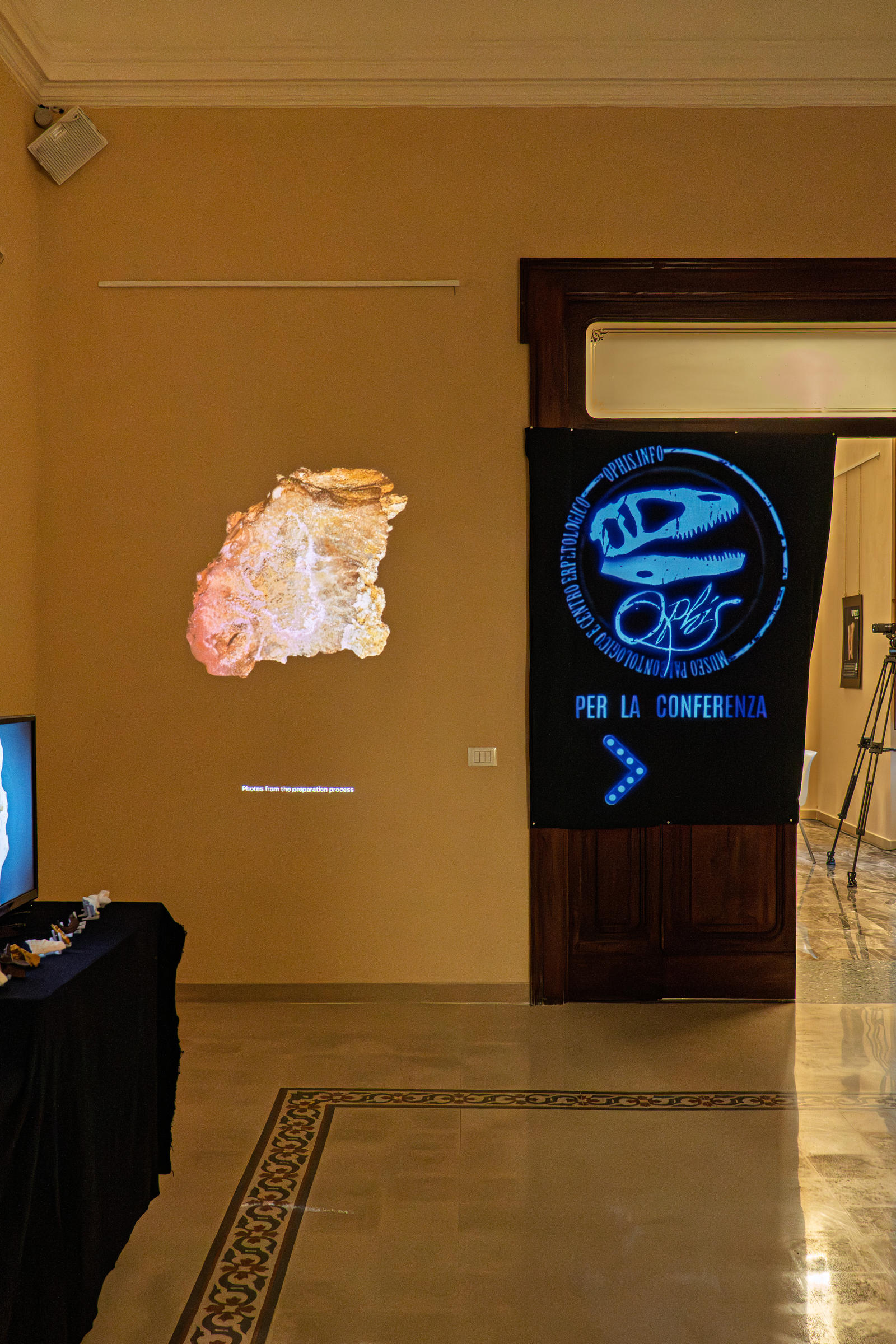 La sala: la proiezione del fossile sulla parete, lo striscione della conferenza sopra la porta, un monitor con il processo di preparazione