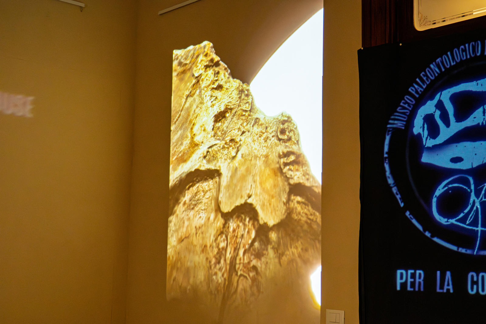 La texture di un fossile proiettata su una parete accanto allo striscione del museo OPHIS